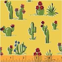 South of the Border- Cactus